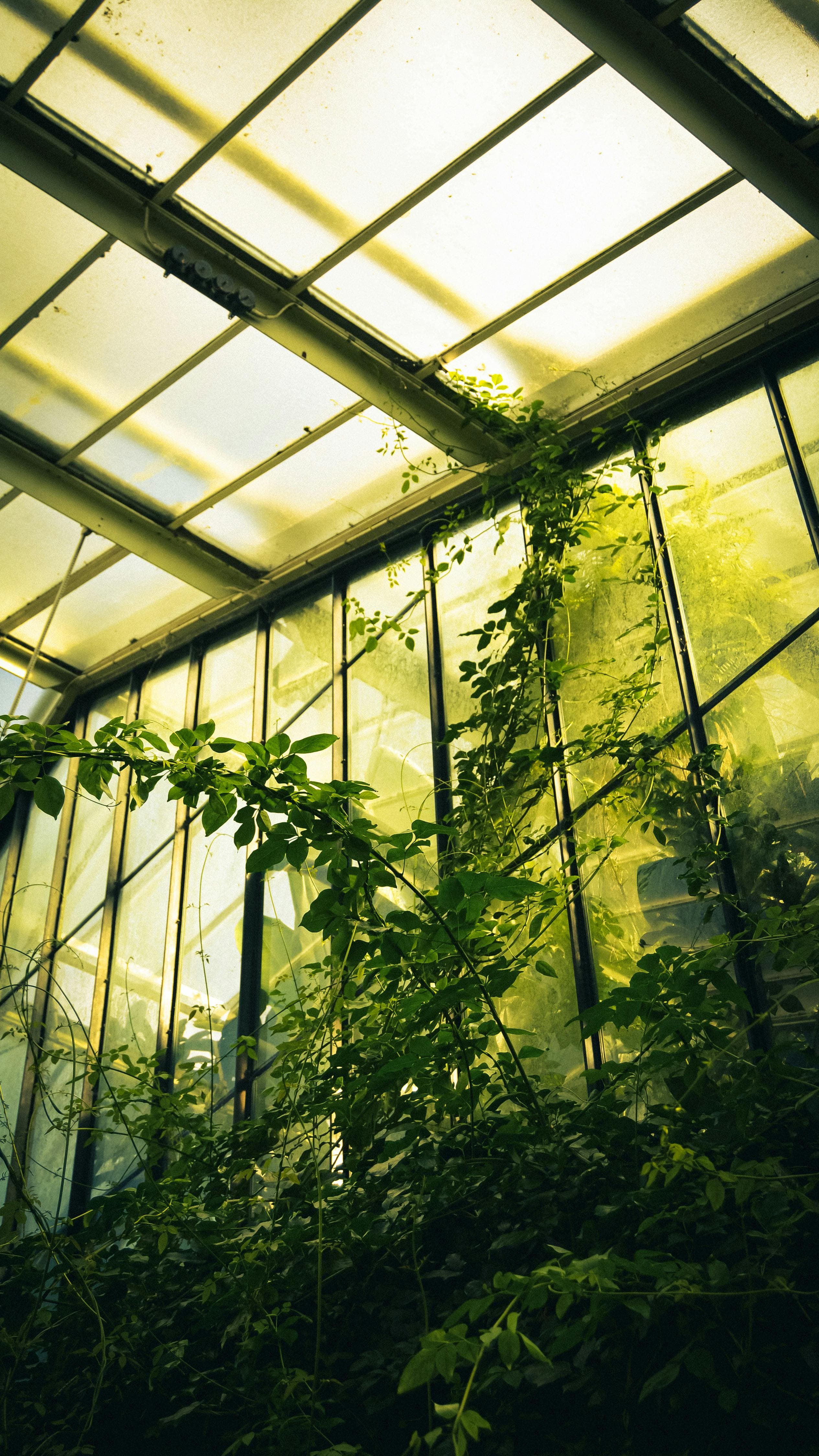 EcoGrow Greenhouse System